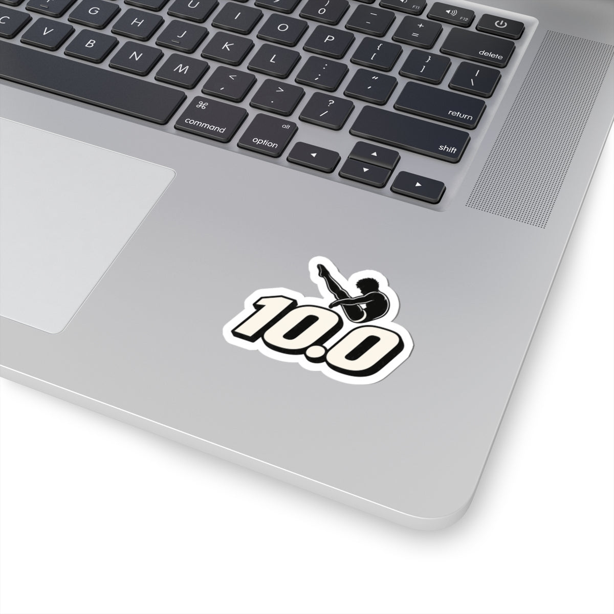 10.0 Pike Diver Sticker